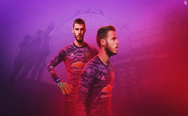 新西兰破坏者VS凯恩斯太攀蛇